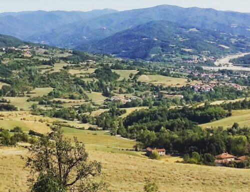 Tutela del territorio, EGATO6 aumenta risorse per le Unioni montane: ecco i beneficiari