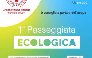 ecowalk