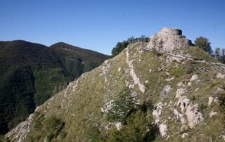 Carrega