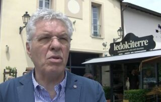 Distretto del novese merlano