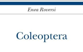 Enea Roversi