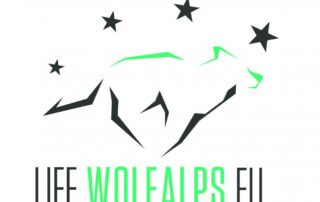 LifeWolfAlps