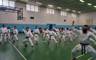 asd il tempio del karate stage novi