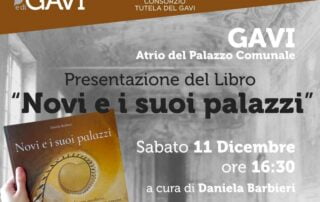 Novi e i suoi palazzi