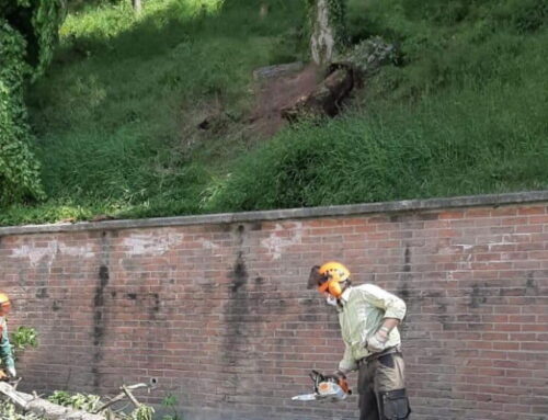 Lavori Parco Castello, cambi alla viabilità a Novi lungo via Oneto dal 3 giugno