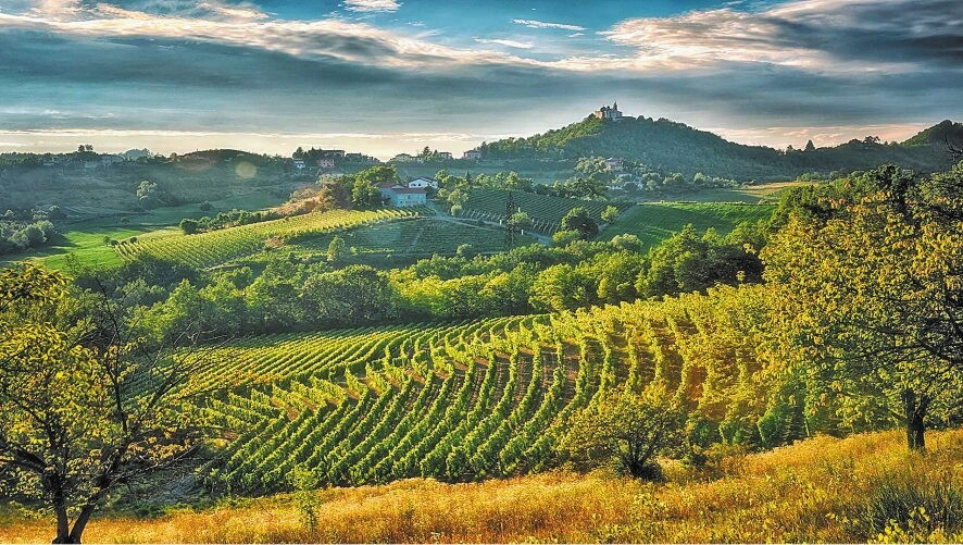 La comunicazione del vino sostenibile