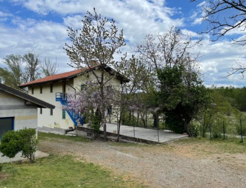 Sabato al Maglietto si celebra la Giornata Mondiale delle api con un annullo filatelico speciale