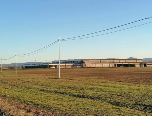 Pozzolo, cloroformio nelle acque dei pozzi: per la Regione nessun rischio ambientale