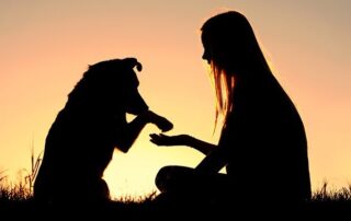 animali cani