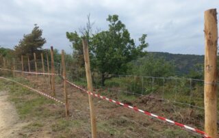 espropri recinzione anti peste suina