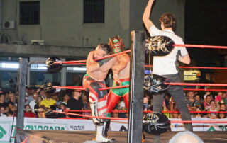 Wrestling a novi