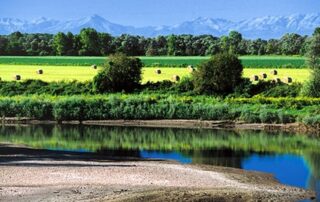 Parco Po Piemontese