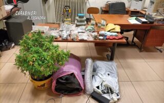 Coltivavano cannabis