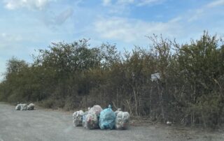 rifiuti abbandonati a novi
