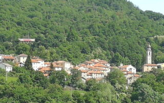 Fioco azzurro a Carrega