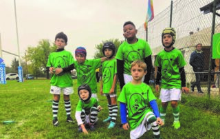 rugby novi