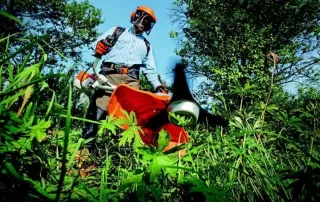 cantieri di lavoro per over58