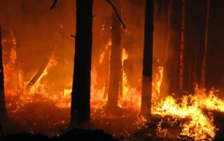 incendi boschivi a grondona