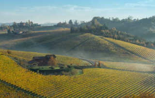 alessandro cazzulo cantina produttori del gavi