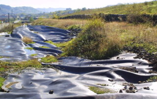 ecolibarna
