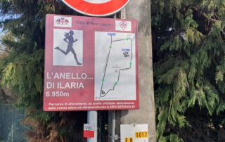 un anello per ilaria bergaglio