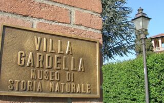 il museo di storia naturale