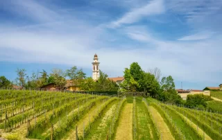 Itinerario delle Cascine