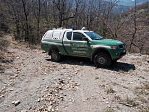 Carabinieri Forestali lupi