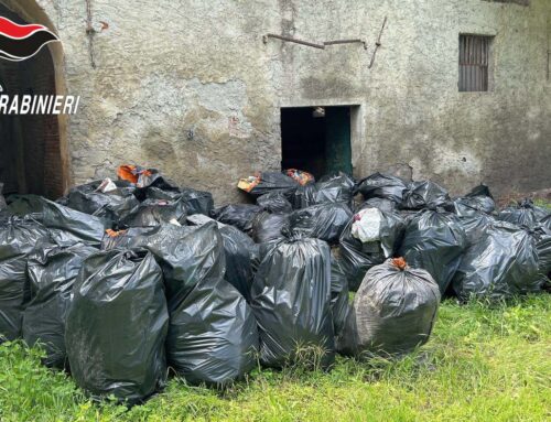 Rifiuti abbandonati, a Serravalle arrivano gli ispettori ambientali: già 14 multe da mille euro