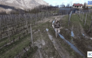 timorasso val borbera rai3