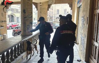 controlli-antidroga-carabinieri-novi