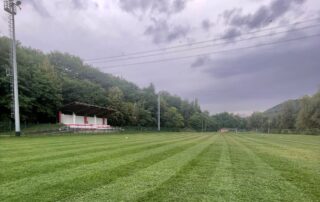 vignolese campo comune