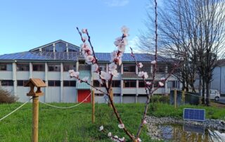 dsa martiri benedicta serravalle
