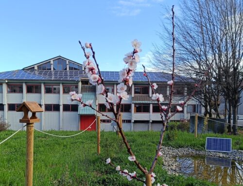 Il progetto di prevenzione dei DSA al Martiri della Benedicta di Serravalle grazie a CRAL
