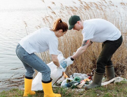 Pulizia del torrente Lemme: sabato in azione i volontari con Gestione Ambiente