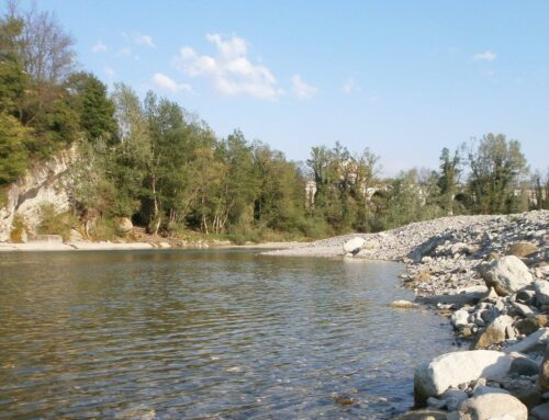 Sversamento vernice torrente Scrivia: dai rilievi di Gestione Acqua non risultano alterazioni