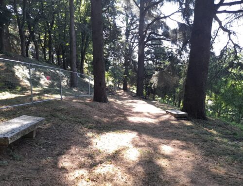 Da domani, 12 luglio, riapertura parziale del Parco Castello: l’annuncio del Comune