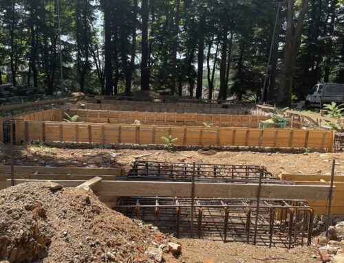 Parco Castello, cantieri quasi fermi e messa in mora della ditta; M5S: “Grave responsabilità politica”