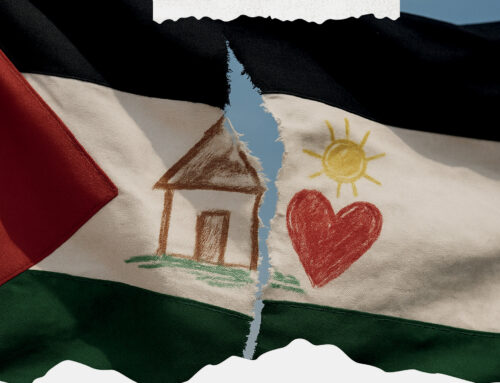 Incontro pubblico a Novi sulla situazione di Gaza