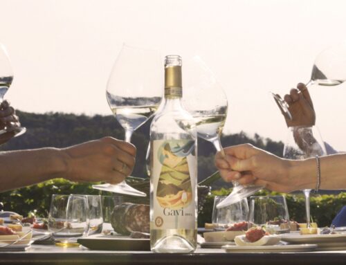 Venerdì 12 aperitivo al tramonto con Gavi DOCG a sostegno di Pazza Idea Onlus