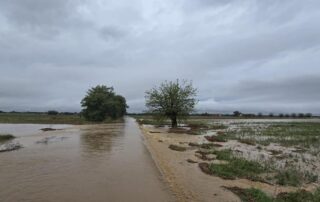 allagamenti cassano capriata bosco marengo