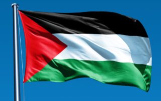 soms novi gaza