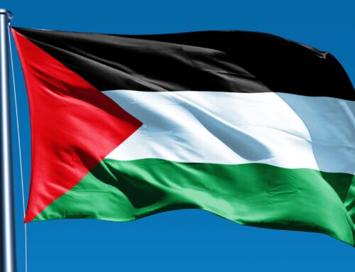 Artisti per Gaza: domenica alla SOMS di Novi il pranzo con raccolta fondi e spettacoli
