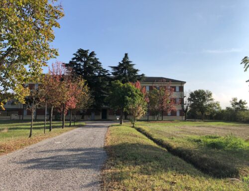 Chiusa la casa di riposo Fiordaliso di Novi: locali sporchi e pazienti a rischio