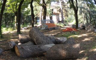 lavori-parco-castello-risarcimento-ditta