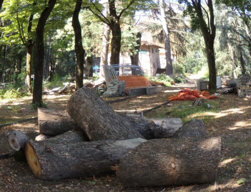 Lavori Parco Castello, la ditta Vivai Barretta chiede 1 milione di euro di risarcimento al Comune
