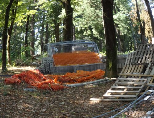 Parco Castello: atti accessibili a tutti e relazione tecnico-politica sullo stato dei lavori