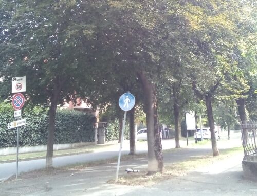 Novi, oggi abbattimento di due alberi a rischio ai Giardini Garibaldi e in via Ferrando