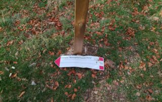 atti vandalici carrega