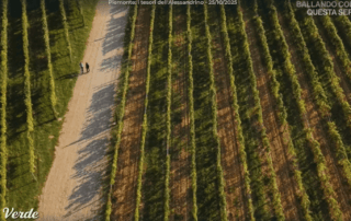 linea verde alessandrino